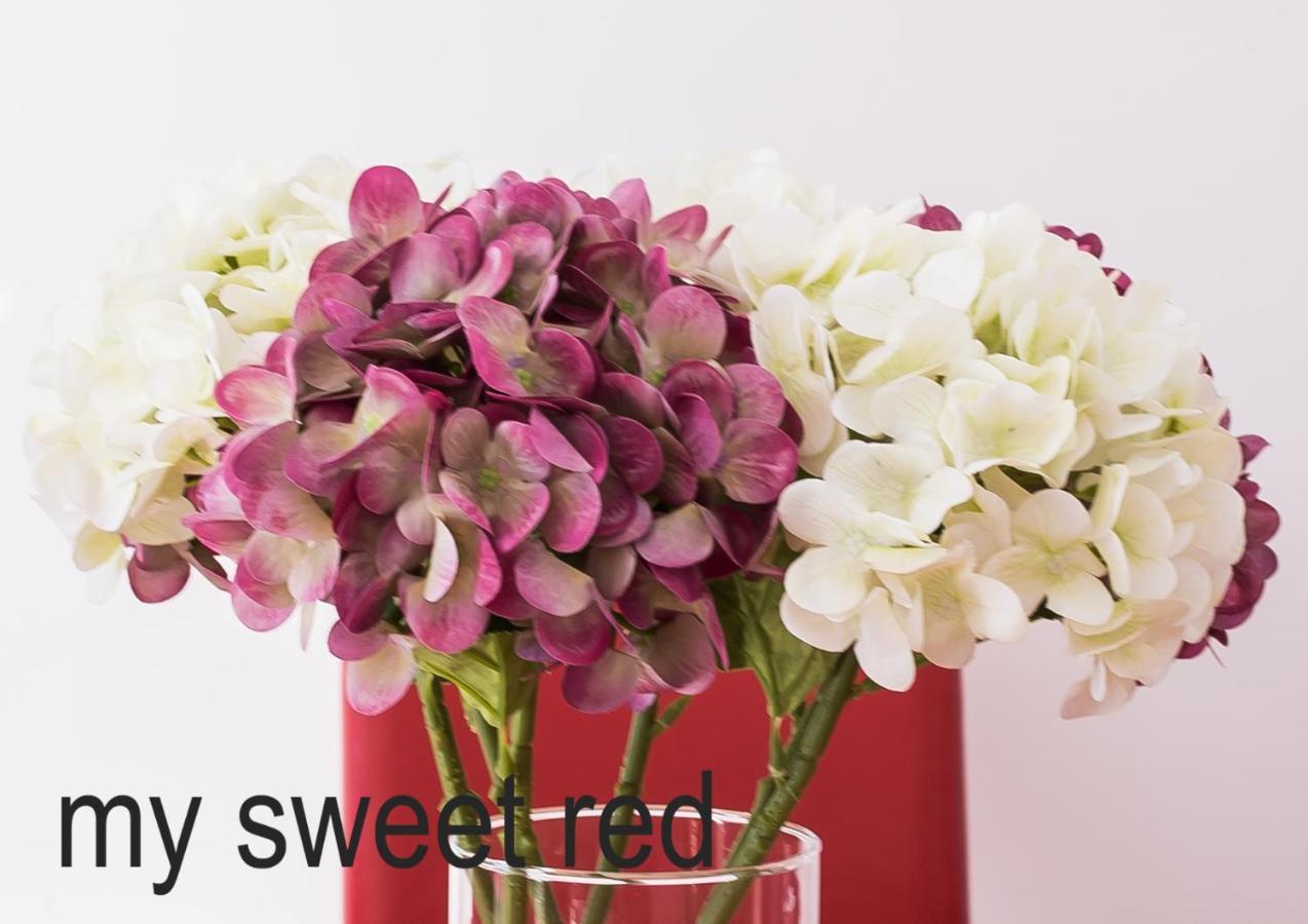 My Sweet Red Apartment Benidorm Ngoại thất bức ảnh
